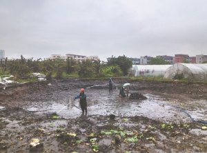 抚宁河道鱼塘清淤